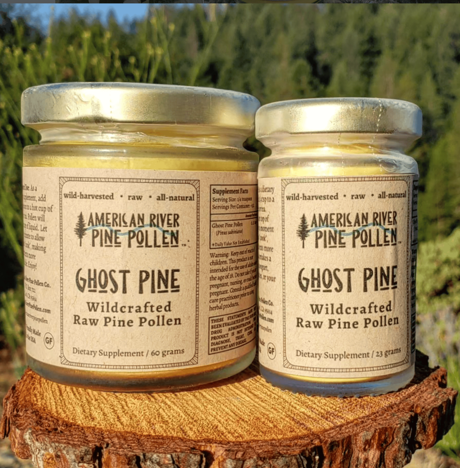 American River Pine Pollen Ghost Pine Pollen - Raw and Wild-Harvested