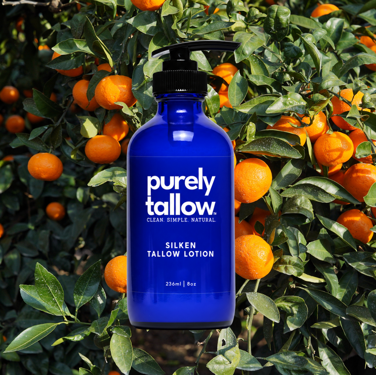 Silken Tallow Pump Lotion