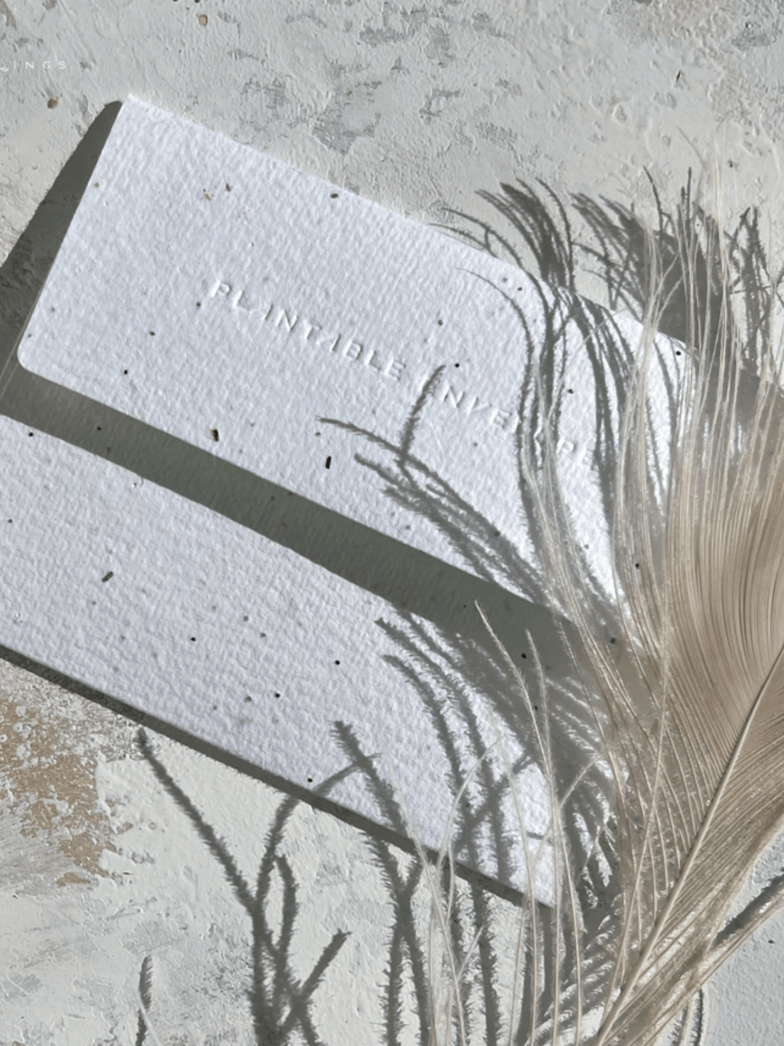 Moon Child - Seeded Birthday Card