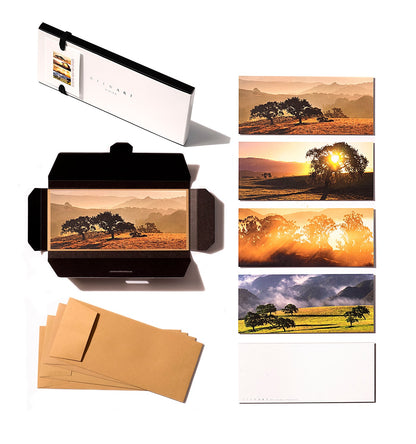 Stewart Vision Notecard Series 2