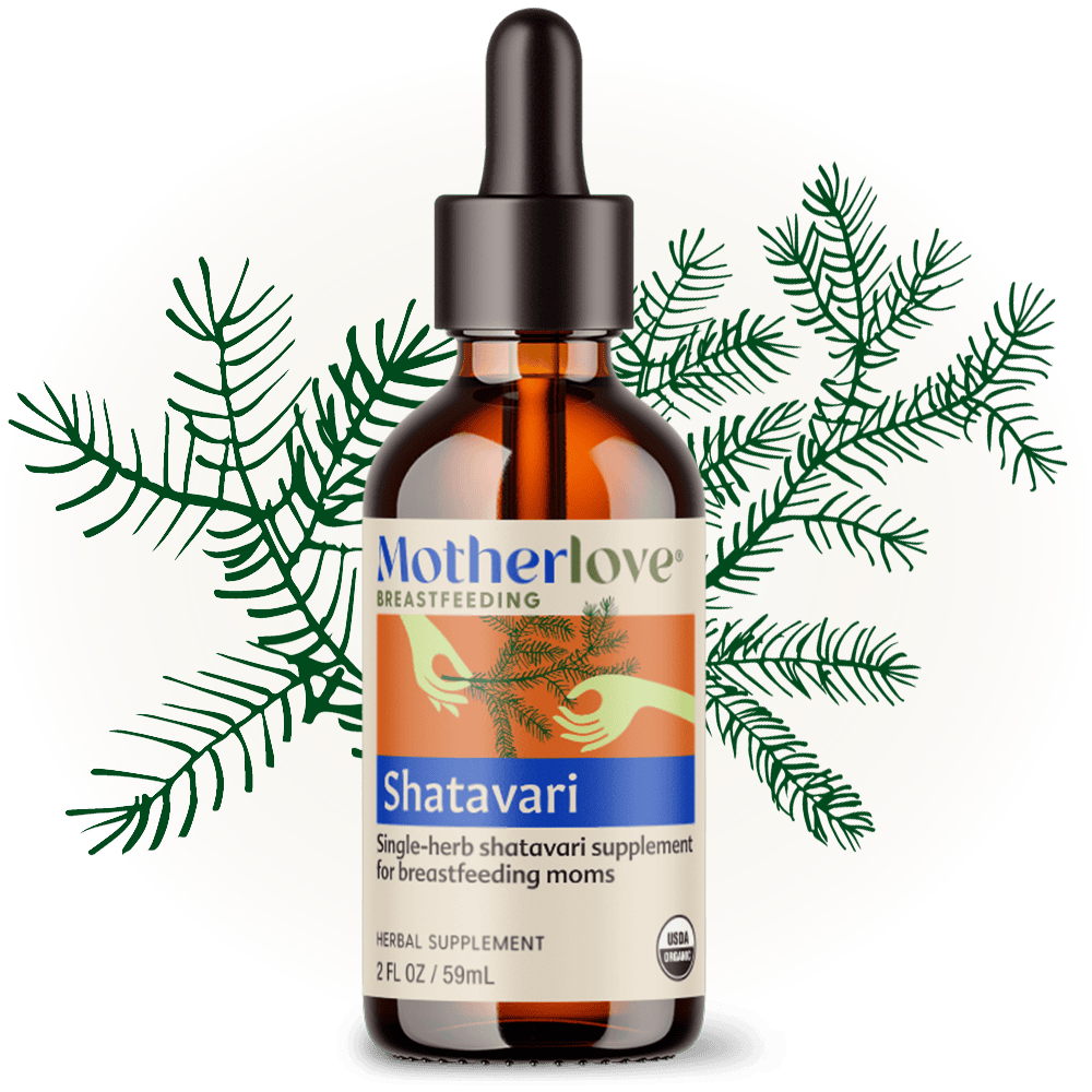 Shatavari - Tincture