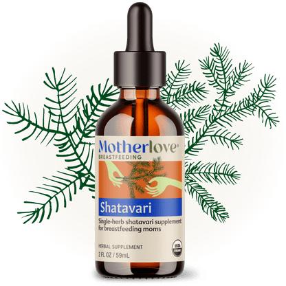 Shatavari - Tincture