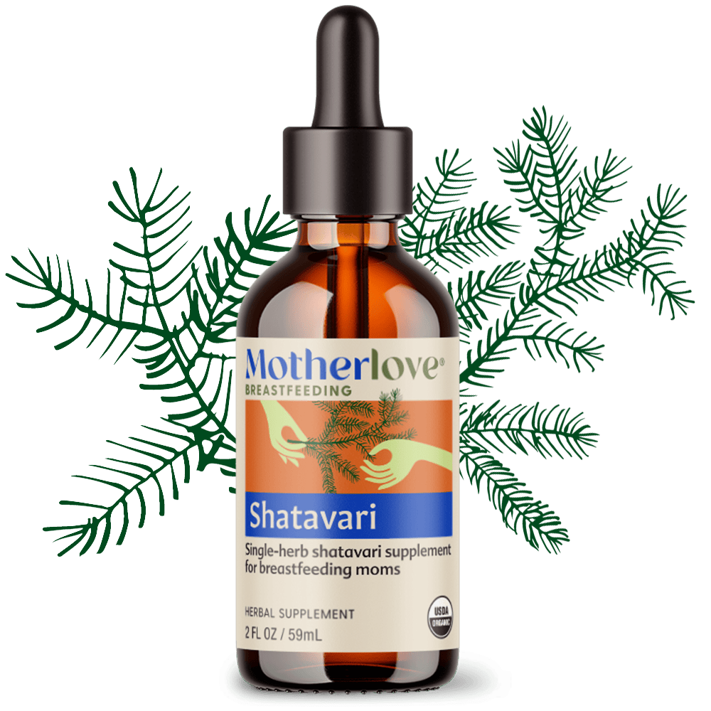 Motherlove Herbal Company Breastfeeding 2 oz Shatavari - Tincture