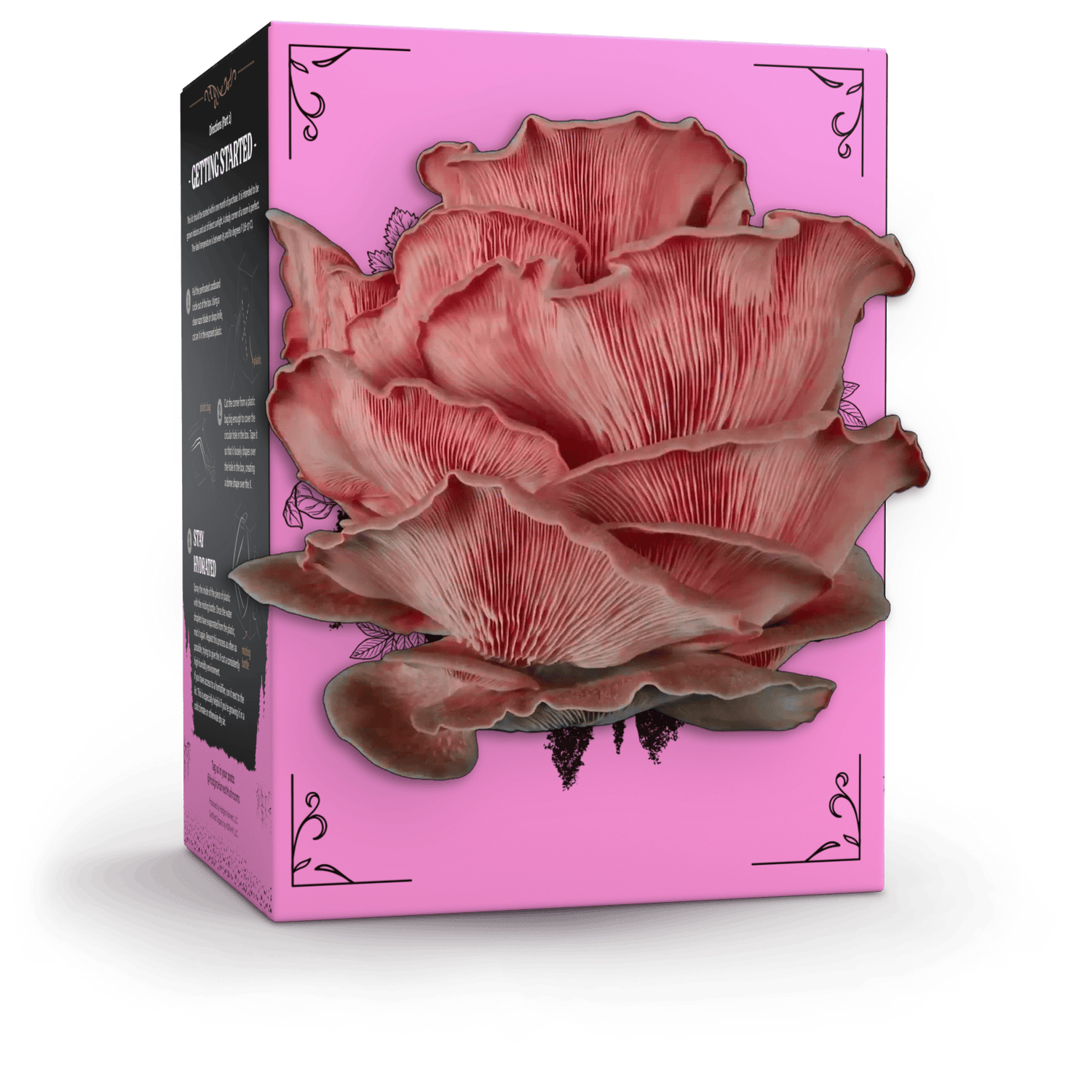 Organic Pink Oyster Mushroom Grow Kit