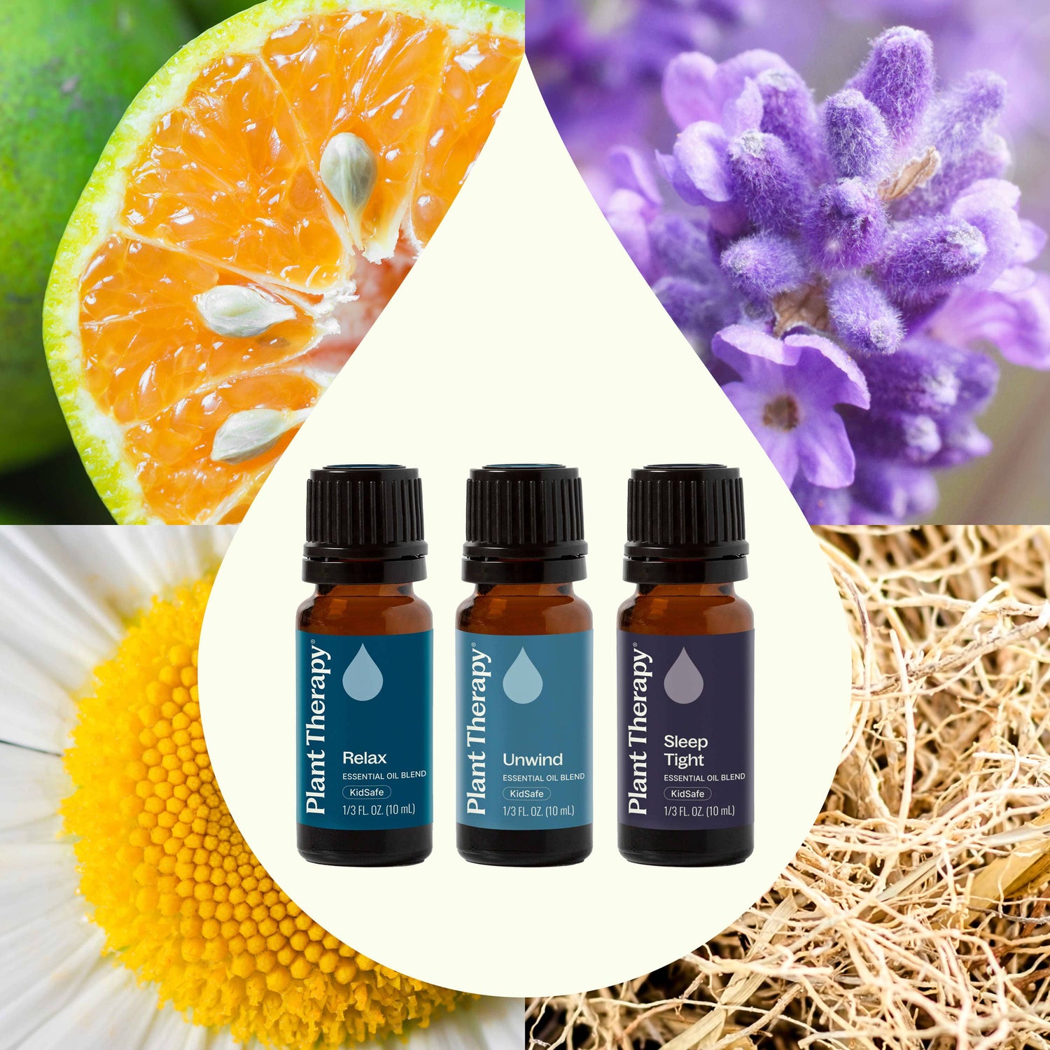 Plant Therapy Essential Oil Sleep Easy Essential Oil Blend Set