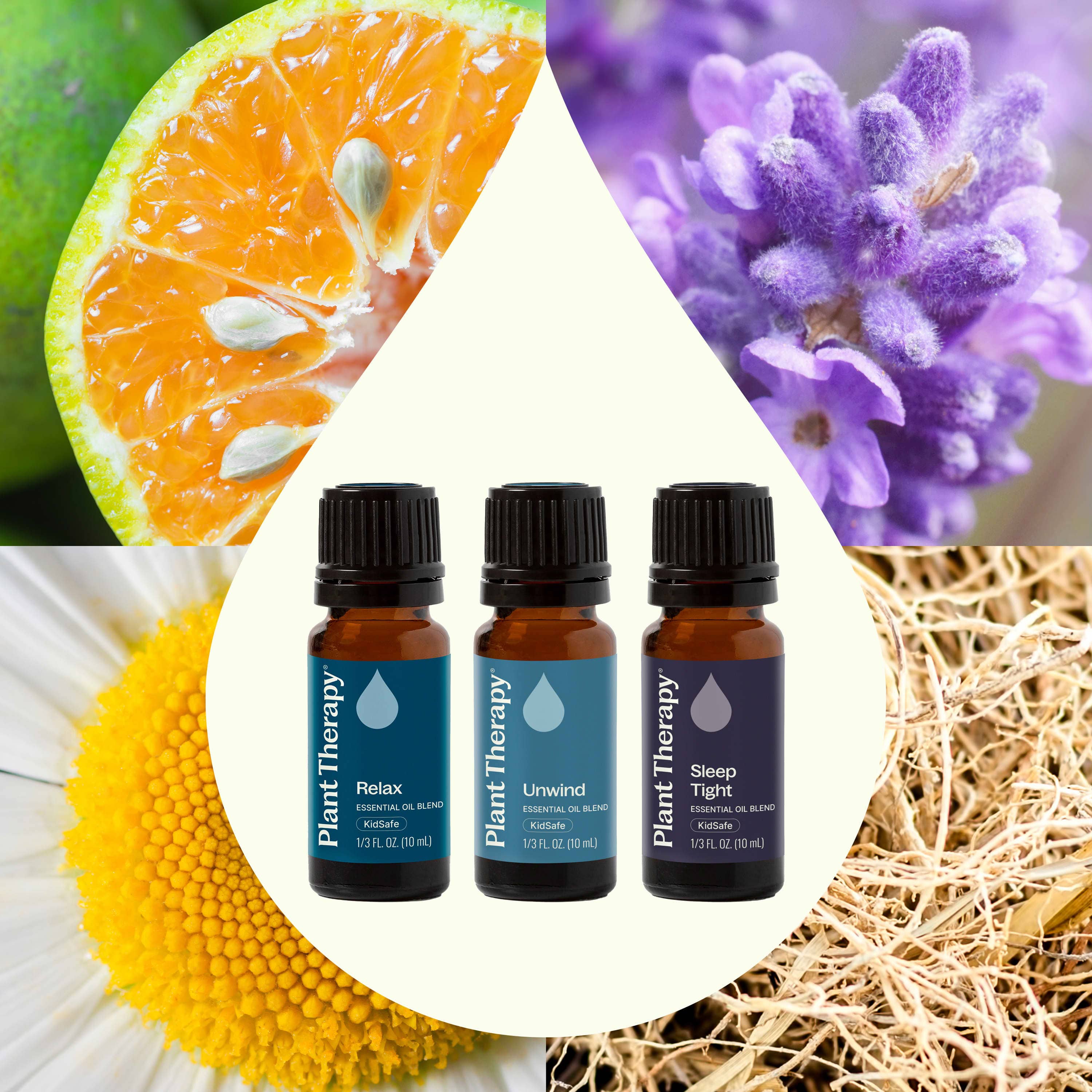 Plant Therapy Essential Oil Sleep Easy Essential Oil Blend Set