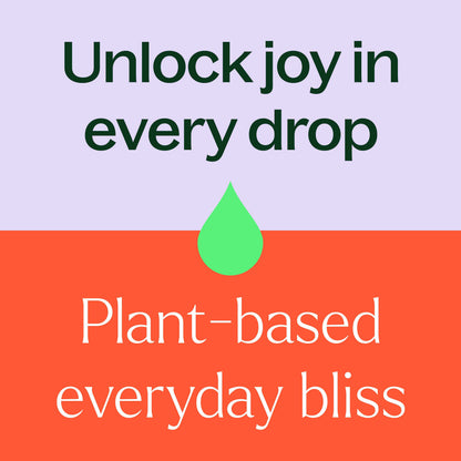 Plant Therapy Essential Oil Sleep Easy Essential Oil Blend Set