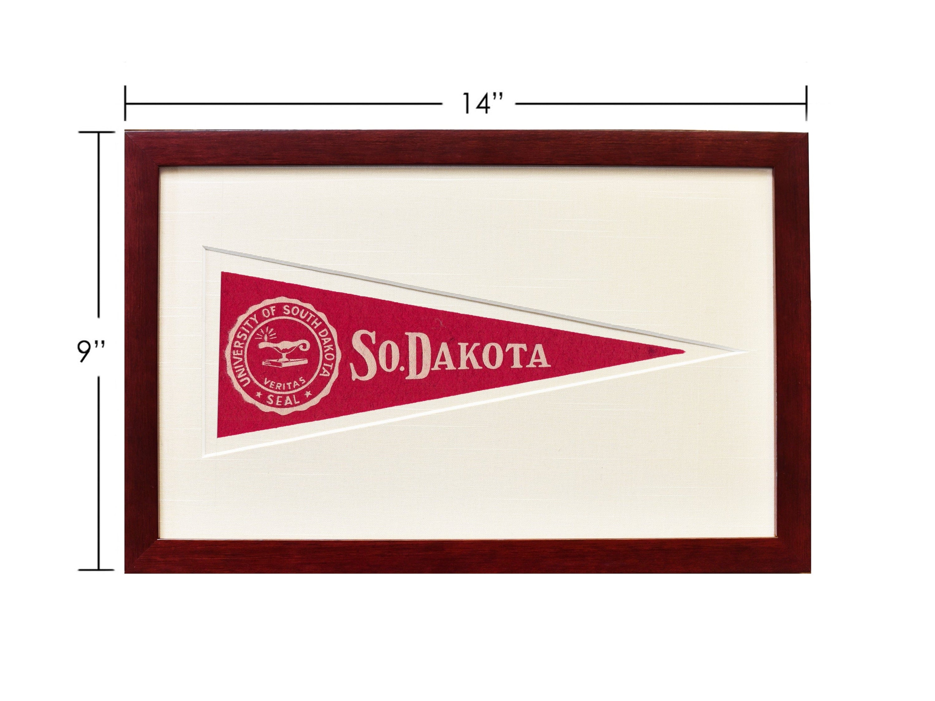 Americana Memories Vintage University of South Dakota Hormel Pennant
