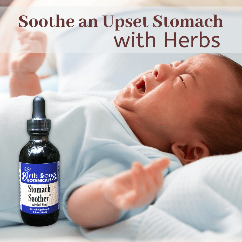 Birth Song Botanicals Co. Tinctures Stomach Soother Herbal Drops – Organic Botanical Blend (1 oz)