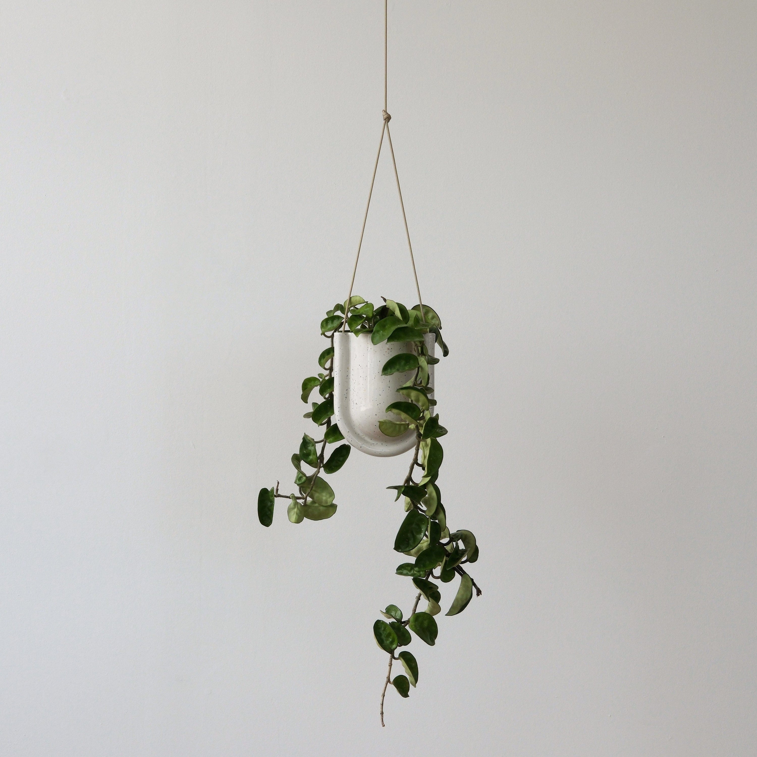 Misewell Pots &amp; Planters Portico Planter