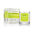 Outdoor Fellow Candles Outdoor Fellow x DD Fuego Spicy Margarita Scented Candle