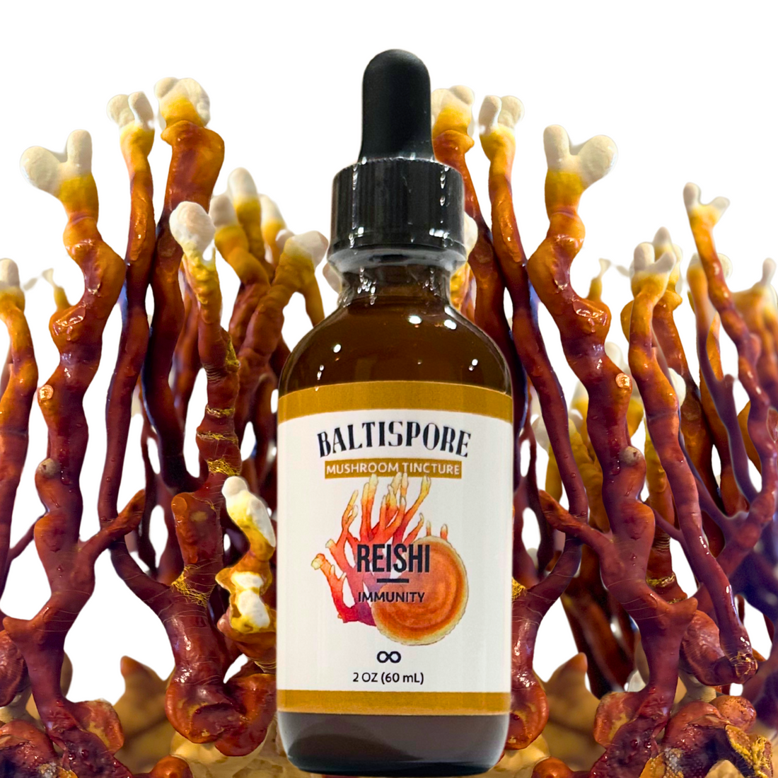 Reishi Mushroom Tincture - My American Goods