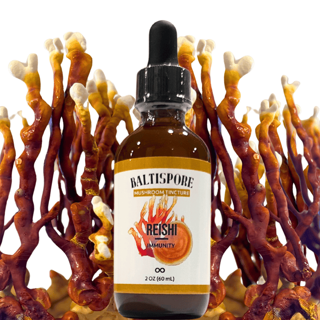 BaltiSpore