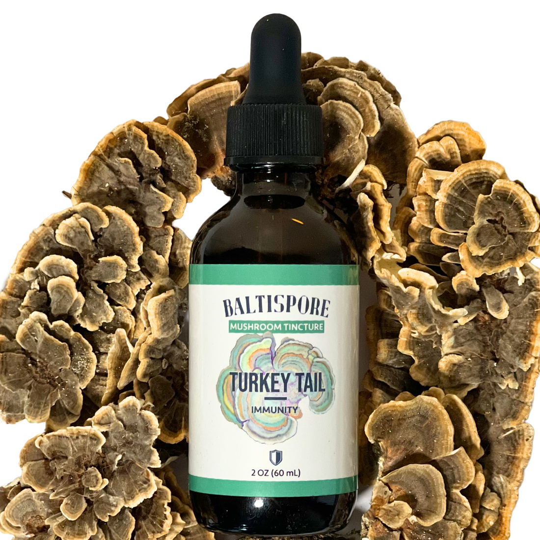 Turkey Tail Mushroom Tincture - My American Goods