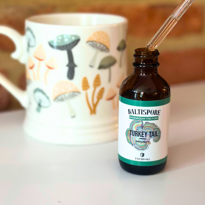 Turkey Tail Mushroom Tincture - My American Goods
