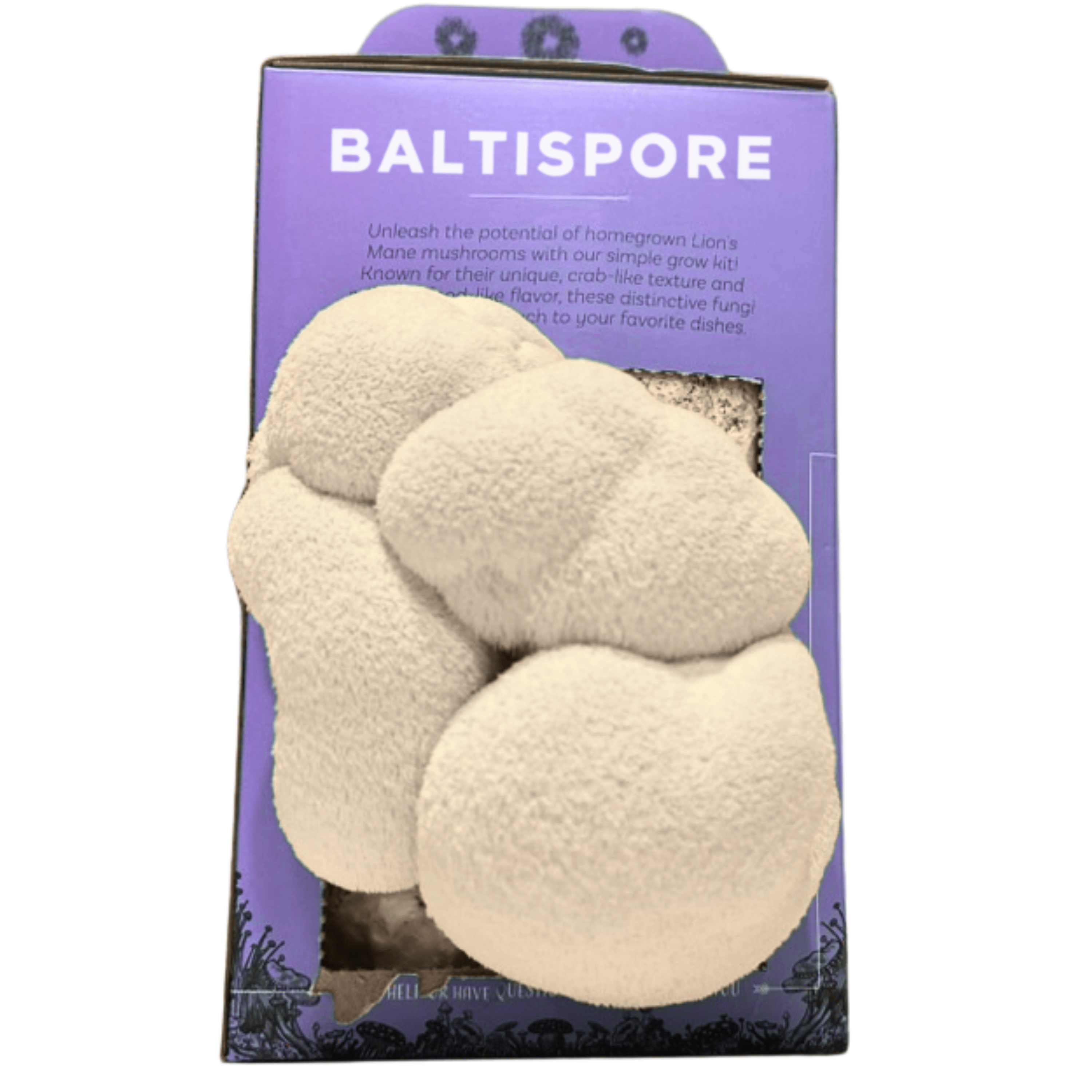 BaltiSpore Lion’s Mane “Ready-To-Fruit” Grow Kit