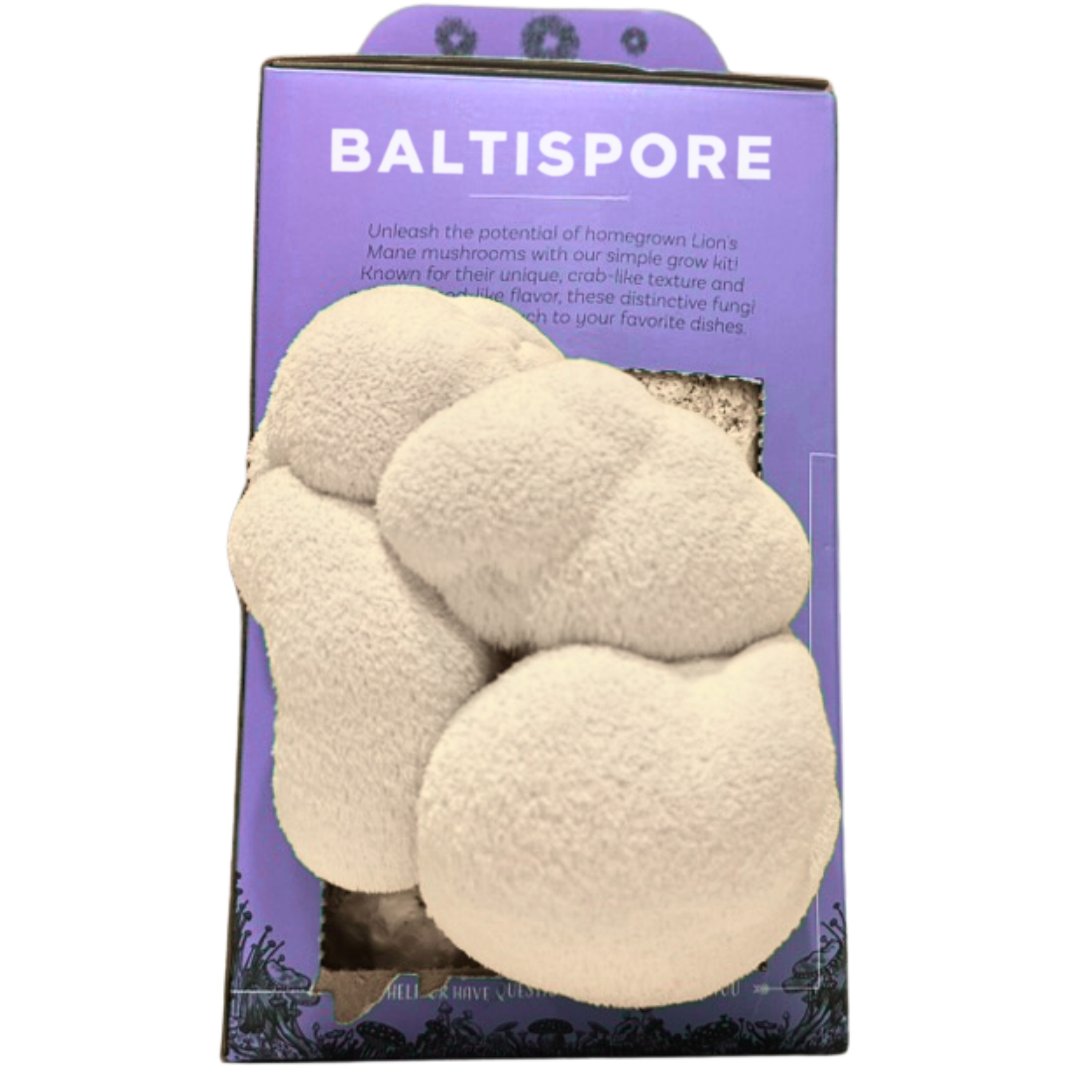 Baltispore mushroom packaging with a purple background