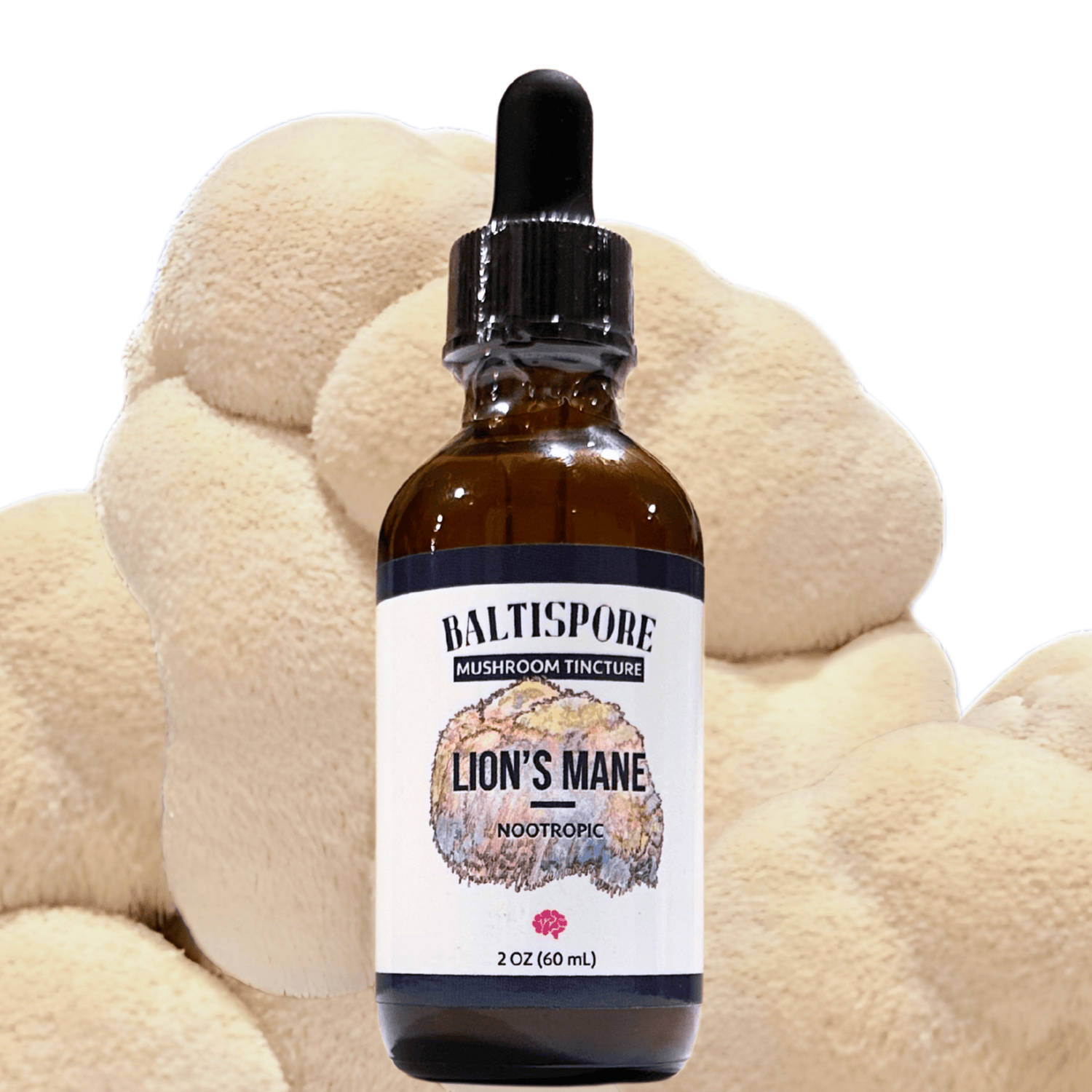 BaltiSpore Tincture Lion’s Mane Mushroom Tincture