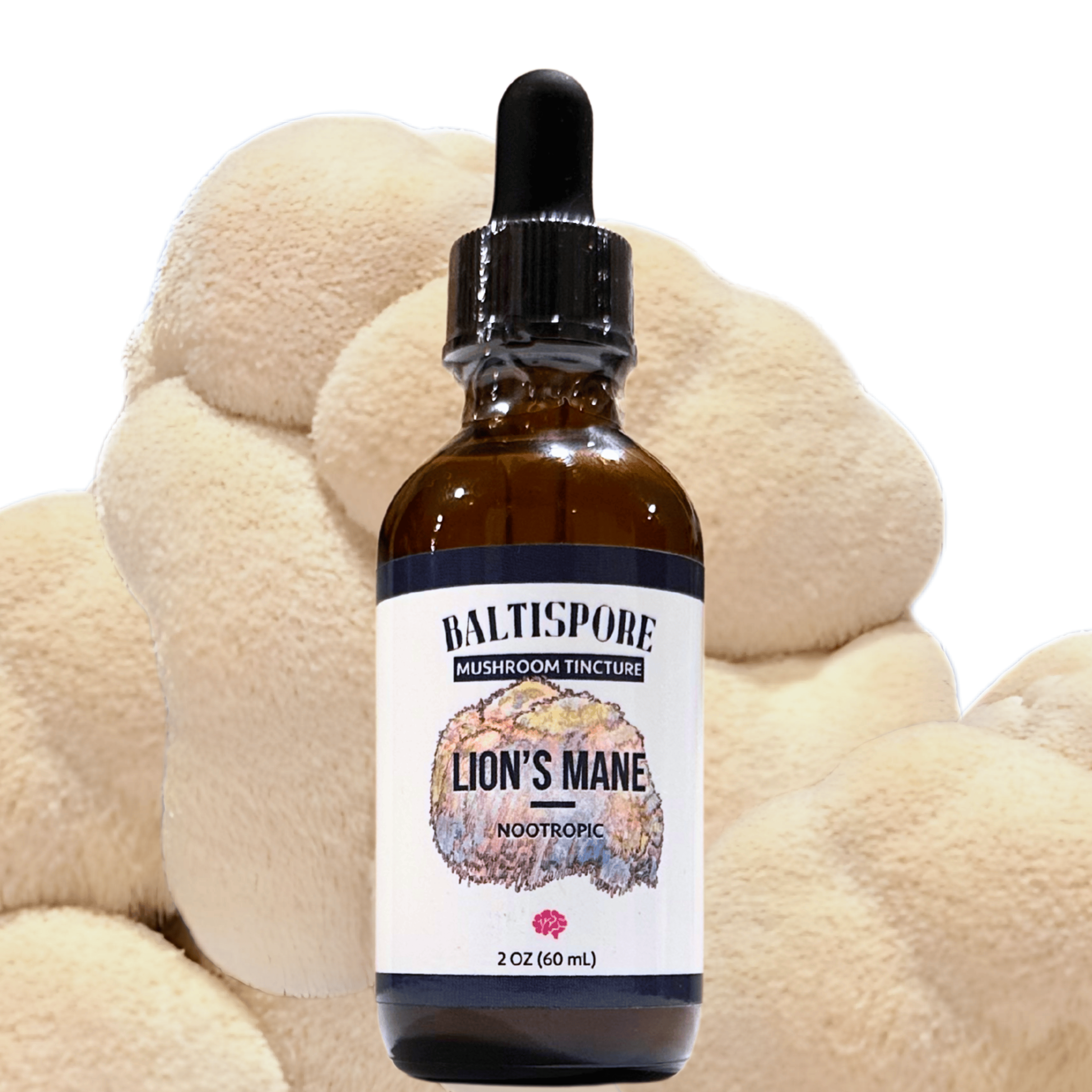BaltiSpore Tincture Lion’s Mane Mushroom Tincture
