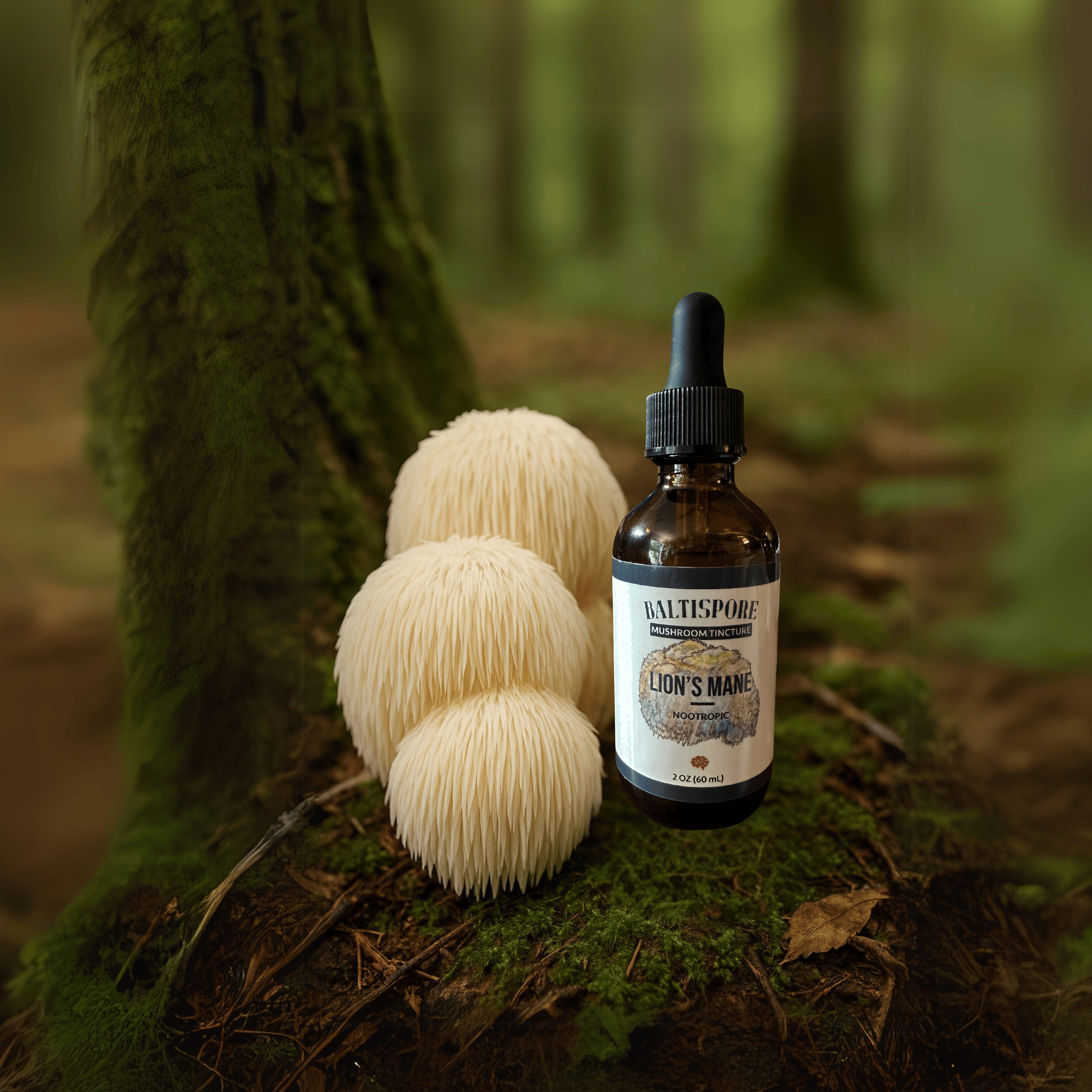 BaltiSpore Tincture Lion’s Mane Mushroom Tincture