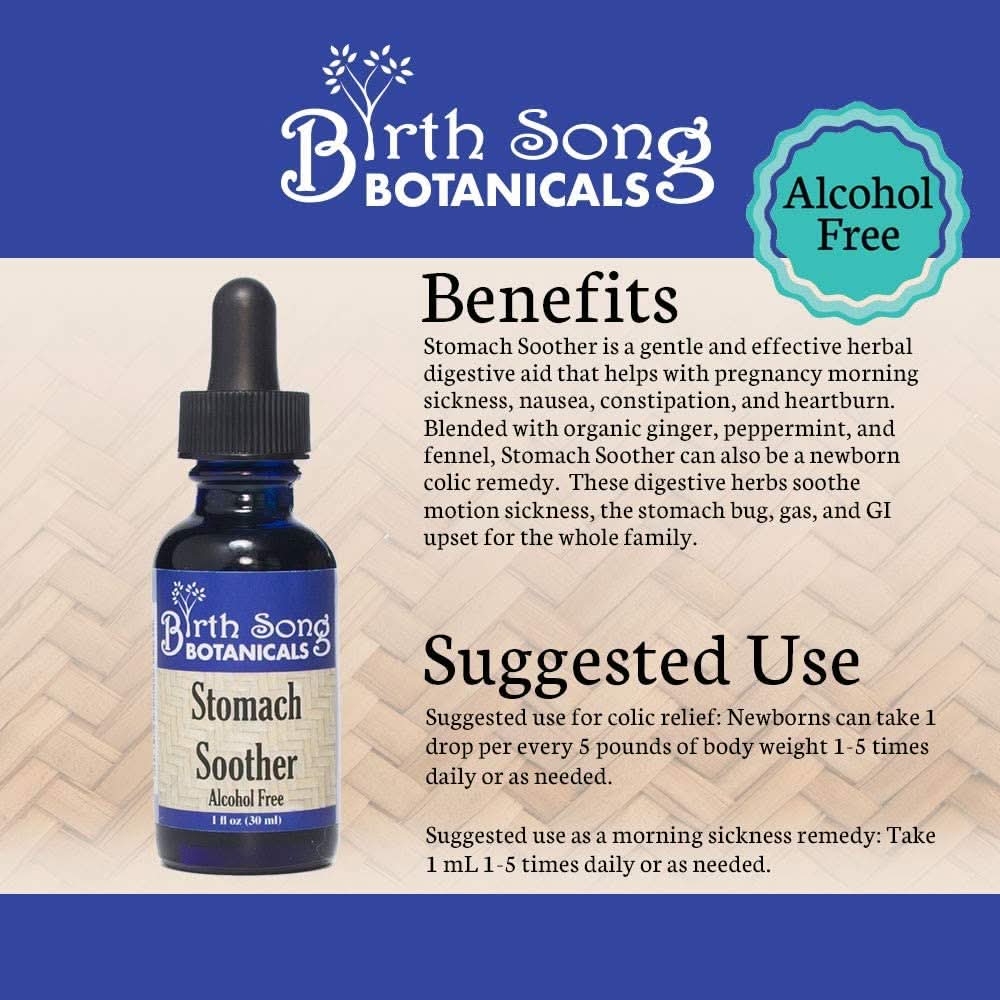 Birth Song Botanicals Co. Tinctures Stomach Soother – Herbal Digestive Blend