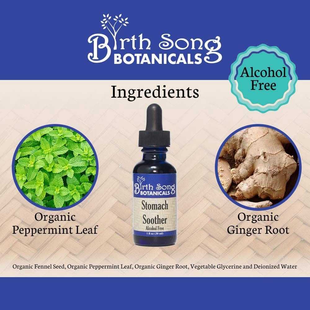 Birth Song Botanicals Co. Tinctures Stomach Soother – Herbal Digestive Blend