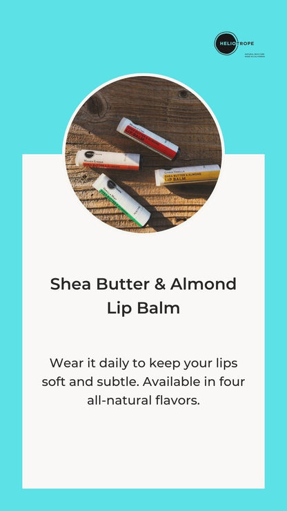 Shea Butter &amp; Almond Lip Balm