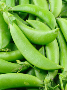 Sugar Snap Pea Seeds