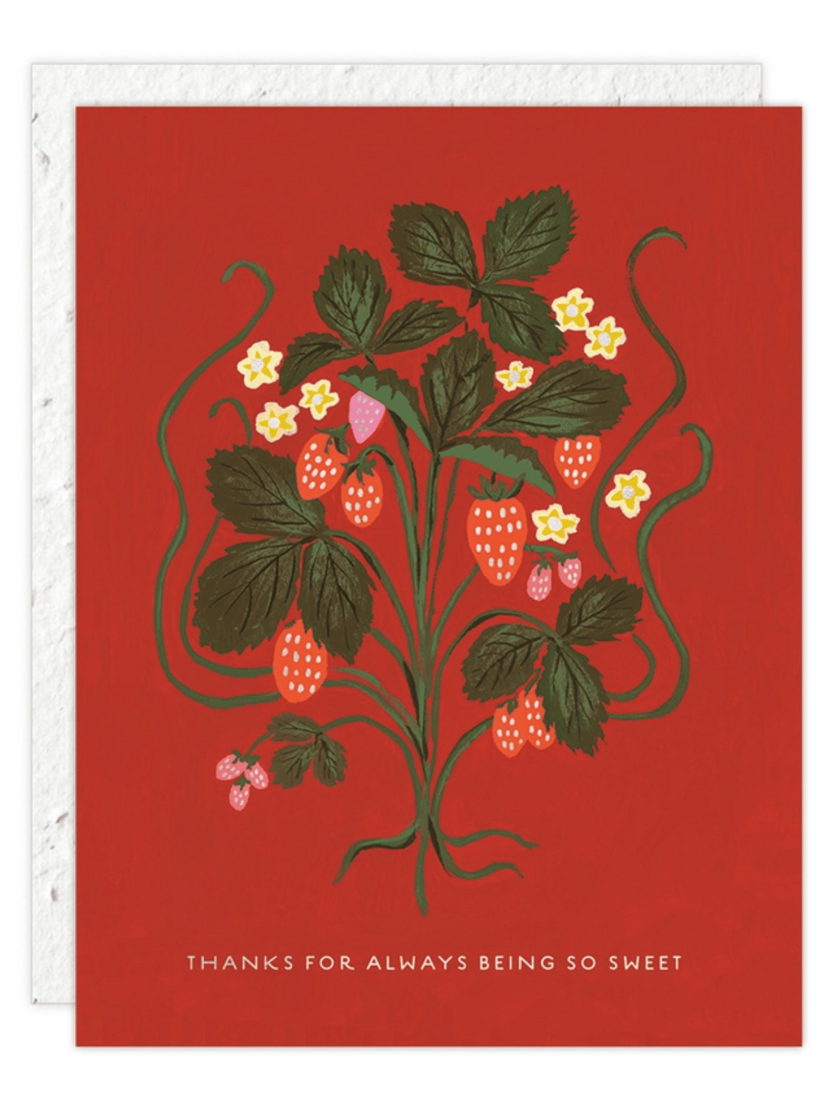 Ash &amp; Rose Greeting &amp; Note Cards Sweet Strawberry - Seeded Thank You Card