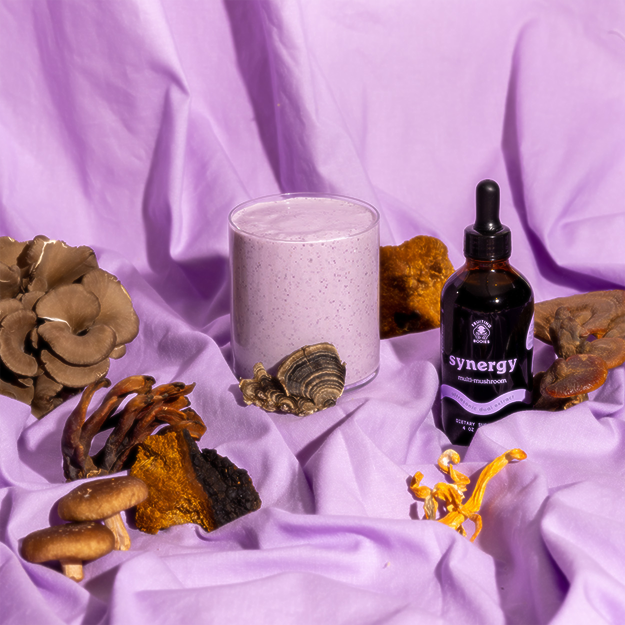 Synergy - My American Goods