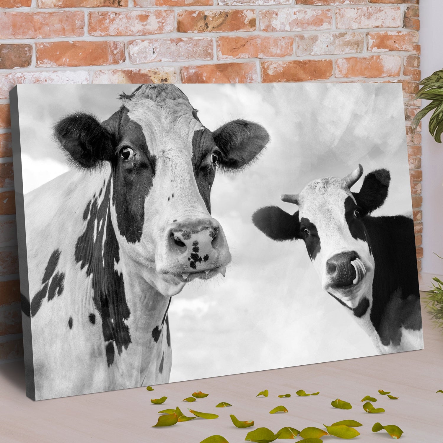 Tailored Canvases Canvas Monochrome Holstein Cows Canvas Wall Art