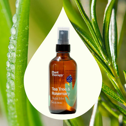 Tea Tree &amp; Rosemary Facial Mist - My American Goods