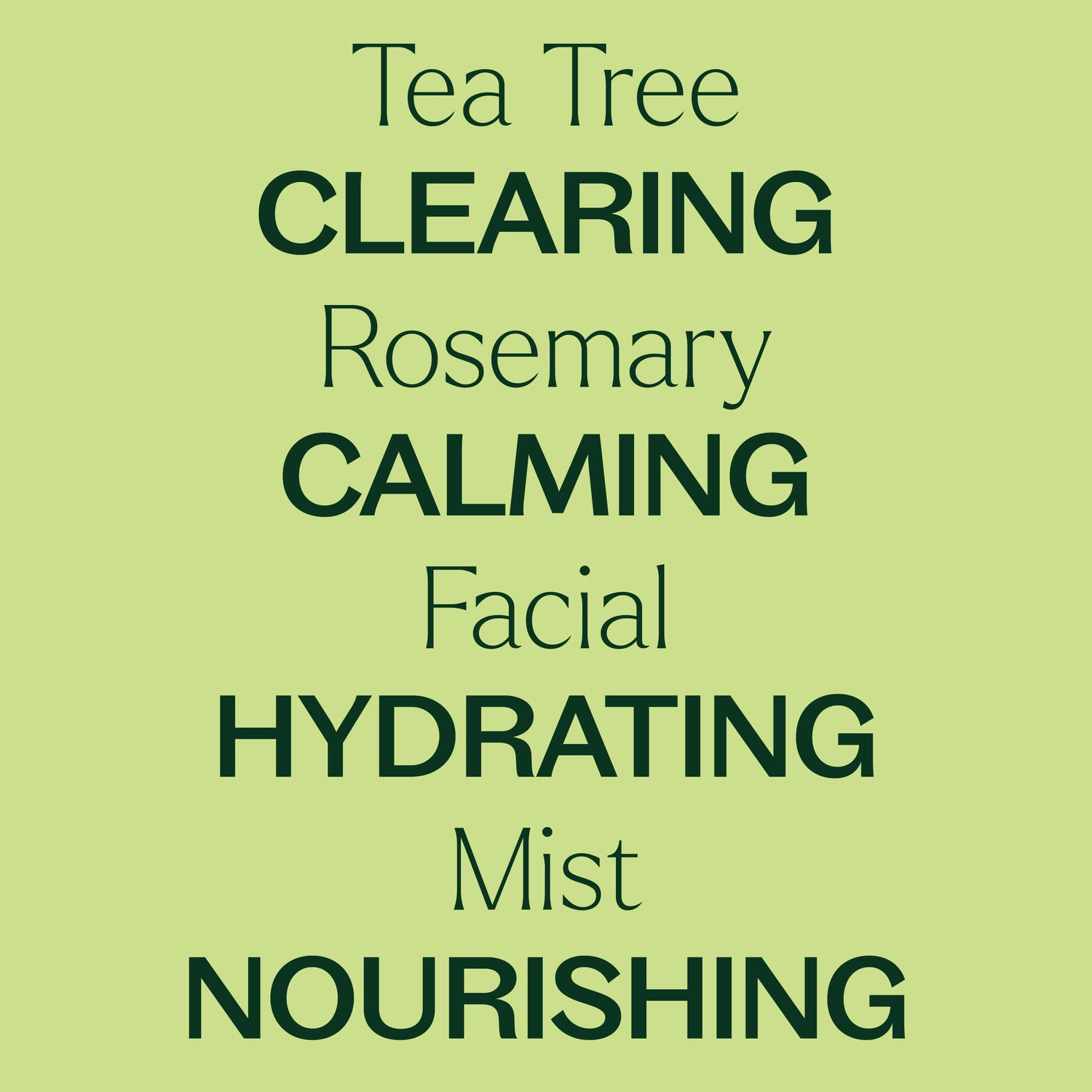 Tea Tree &amp; Rosemary Facial Mist - My American Goods