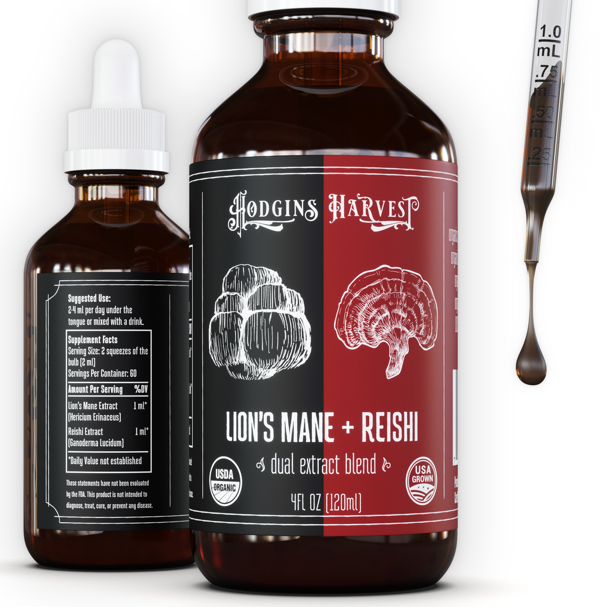 Lion&