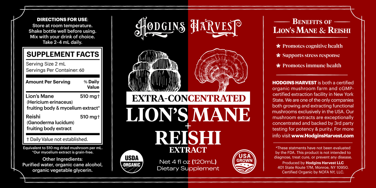 Lion&