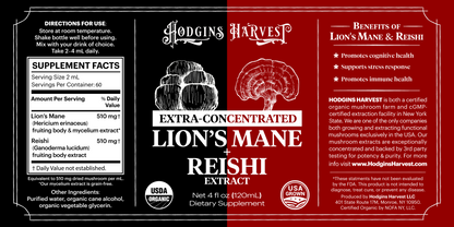 Lion&
