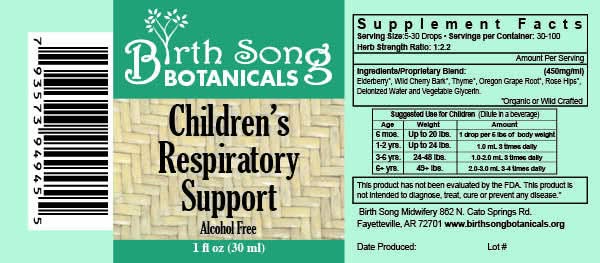 Birth Song Botanicals Co. Tinctures Default Children’s Herbal Tincture – Elderberry &amp;amp; Botanical Blend (1 oz)