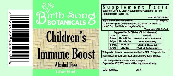 Birth Song Botanicals Co. Tinctures Default Children’s Herbal Tincture – Organic Echinacea Blend (1 oz)