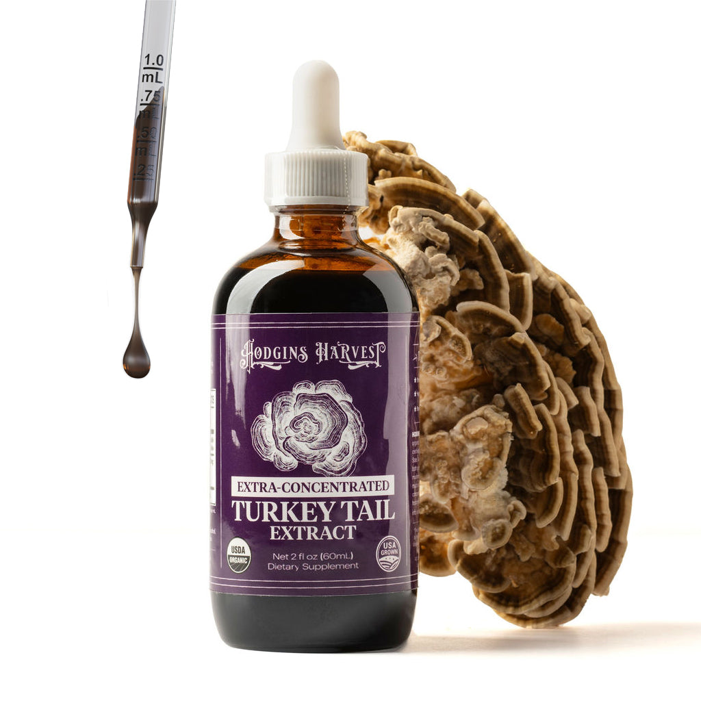 Turkey Tail Dual Extract Tincture