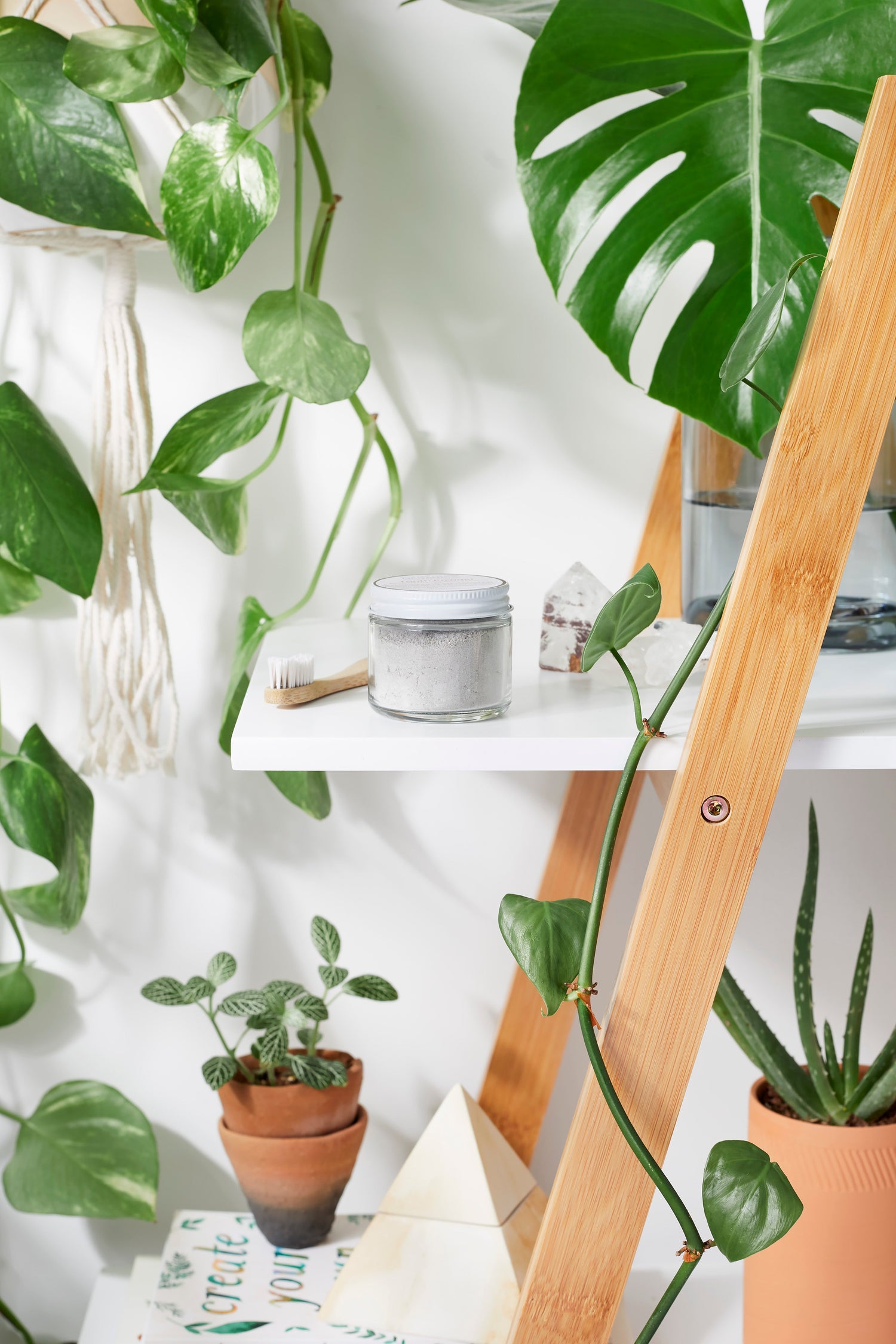 Organic Clay Tooth Powder