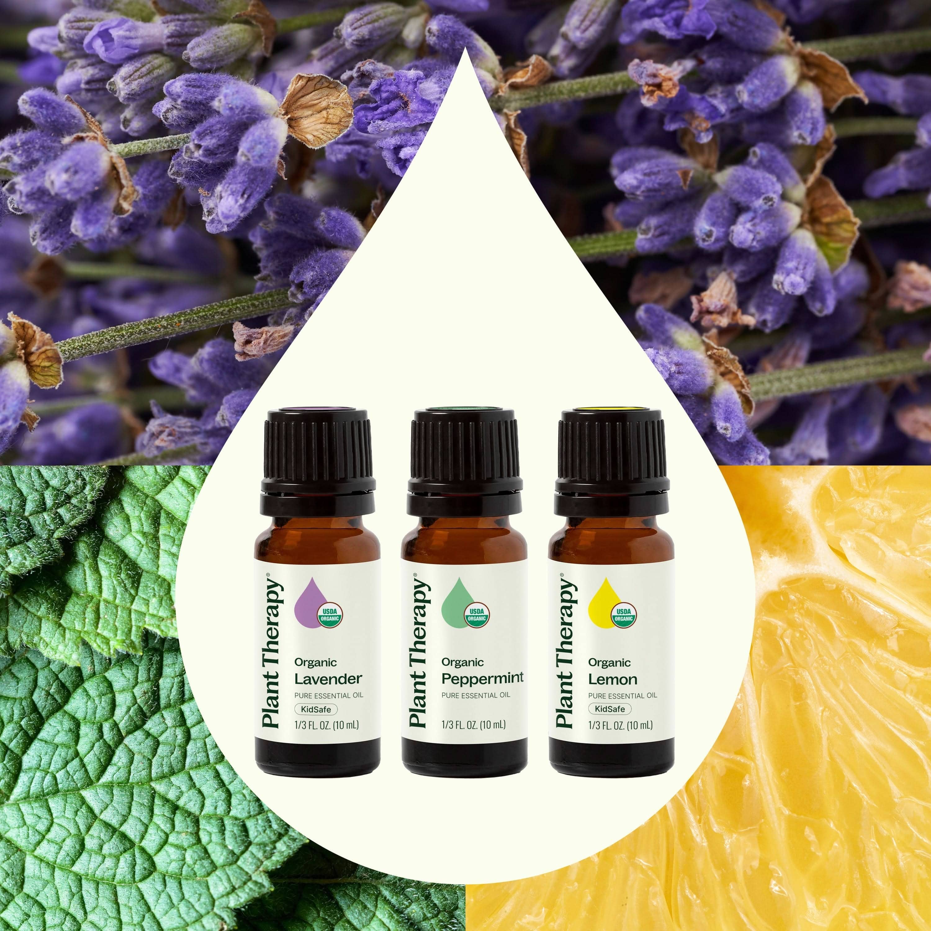 Plant Therapy Essential Oil Top 3 Organic Singles Set