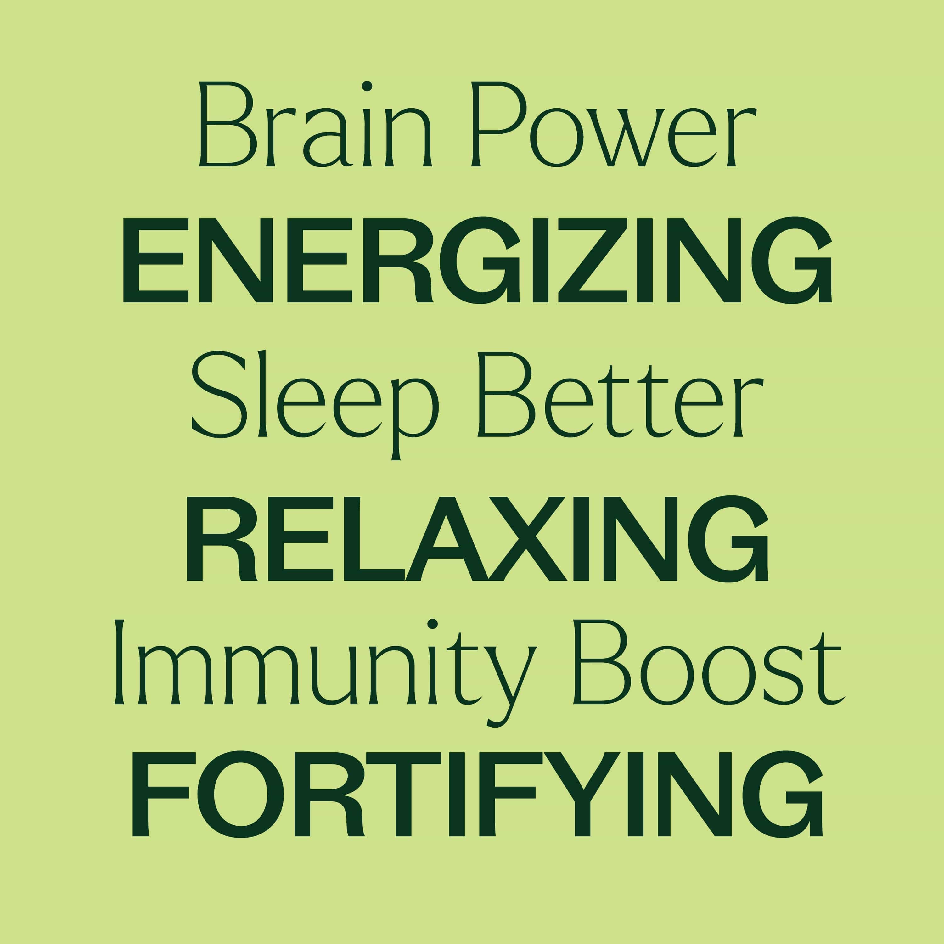Plant Therapy Supplement Total Wellness Trio Set