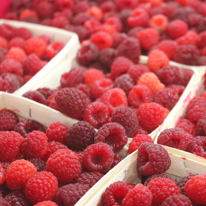 Blake Hill Preserves jam Raspberry Hibiscus Preserve