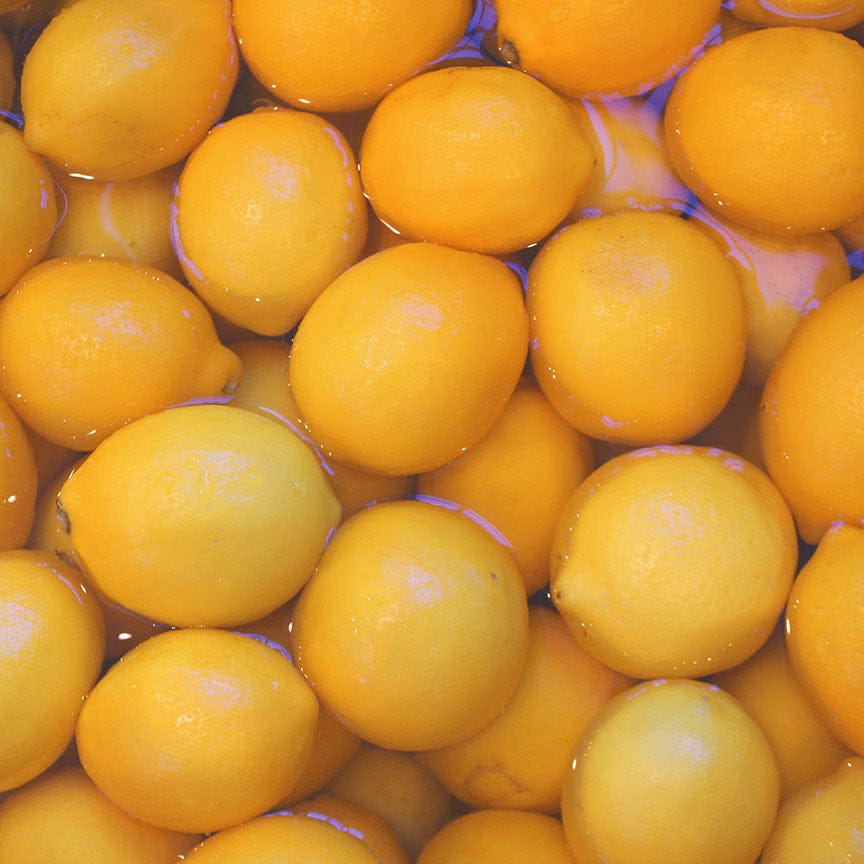 Meyer Lemon with Honey