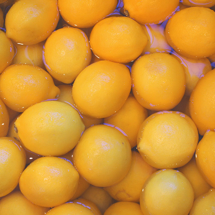 Meyer Lemon Marmalade