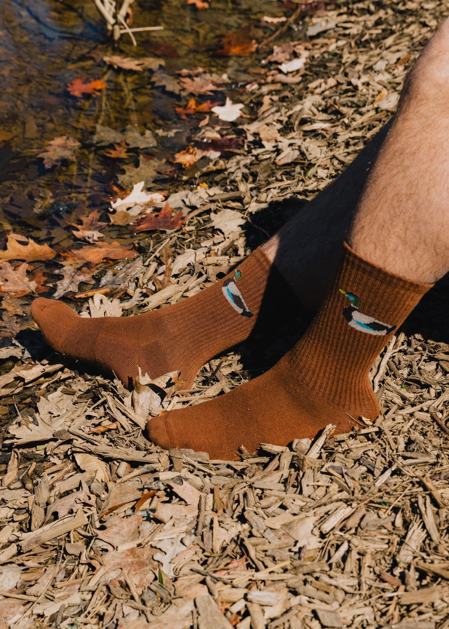 American Trench Socks The Zoo Crew