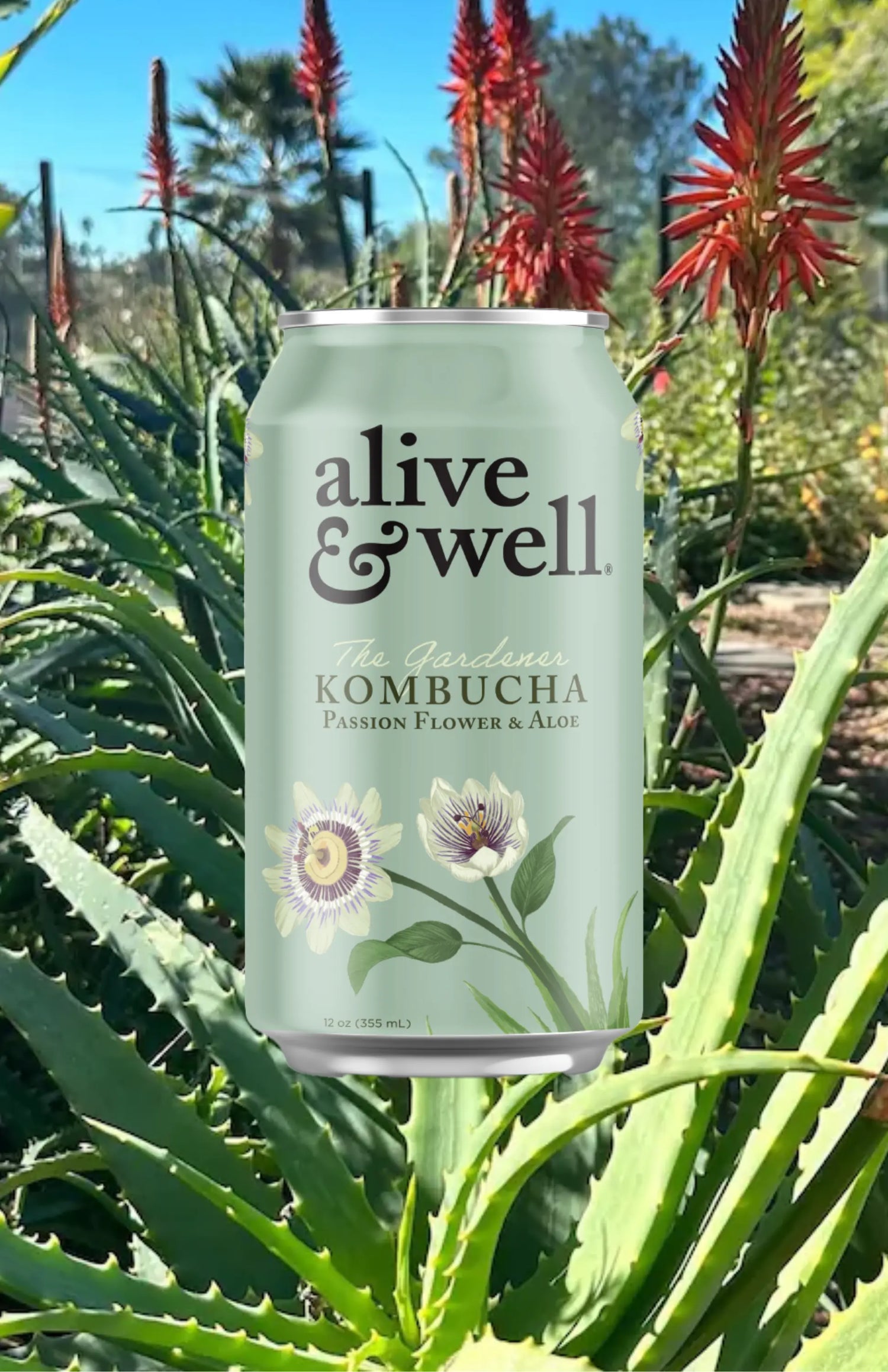 Alive &amp; Well Kombucha Kombucha Passionflower &amp; Aloe Kombucha