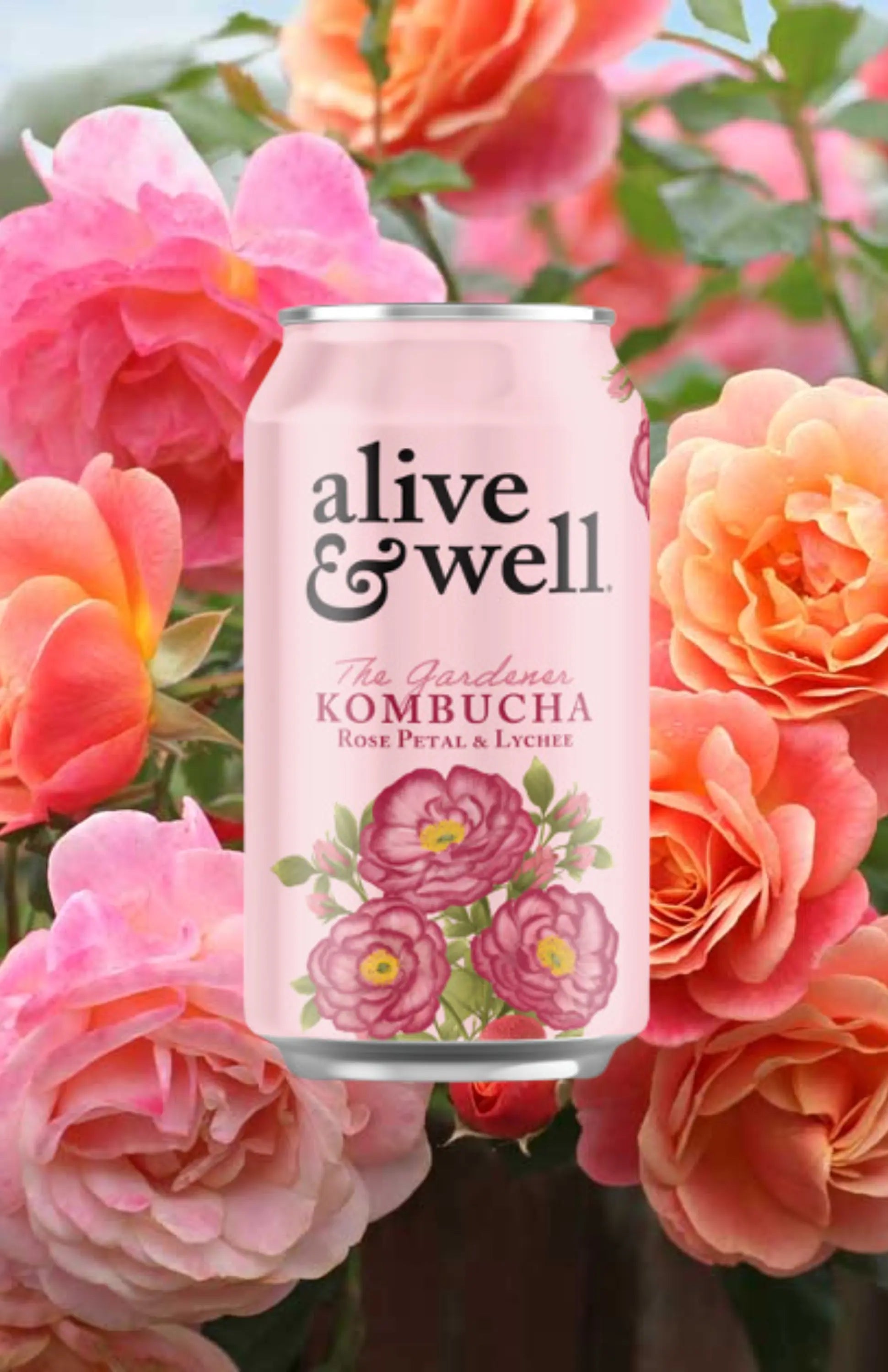 Alive &amp; Well Kombucha Kombucha Rose Petal &amp; Lychee Kombucha