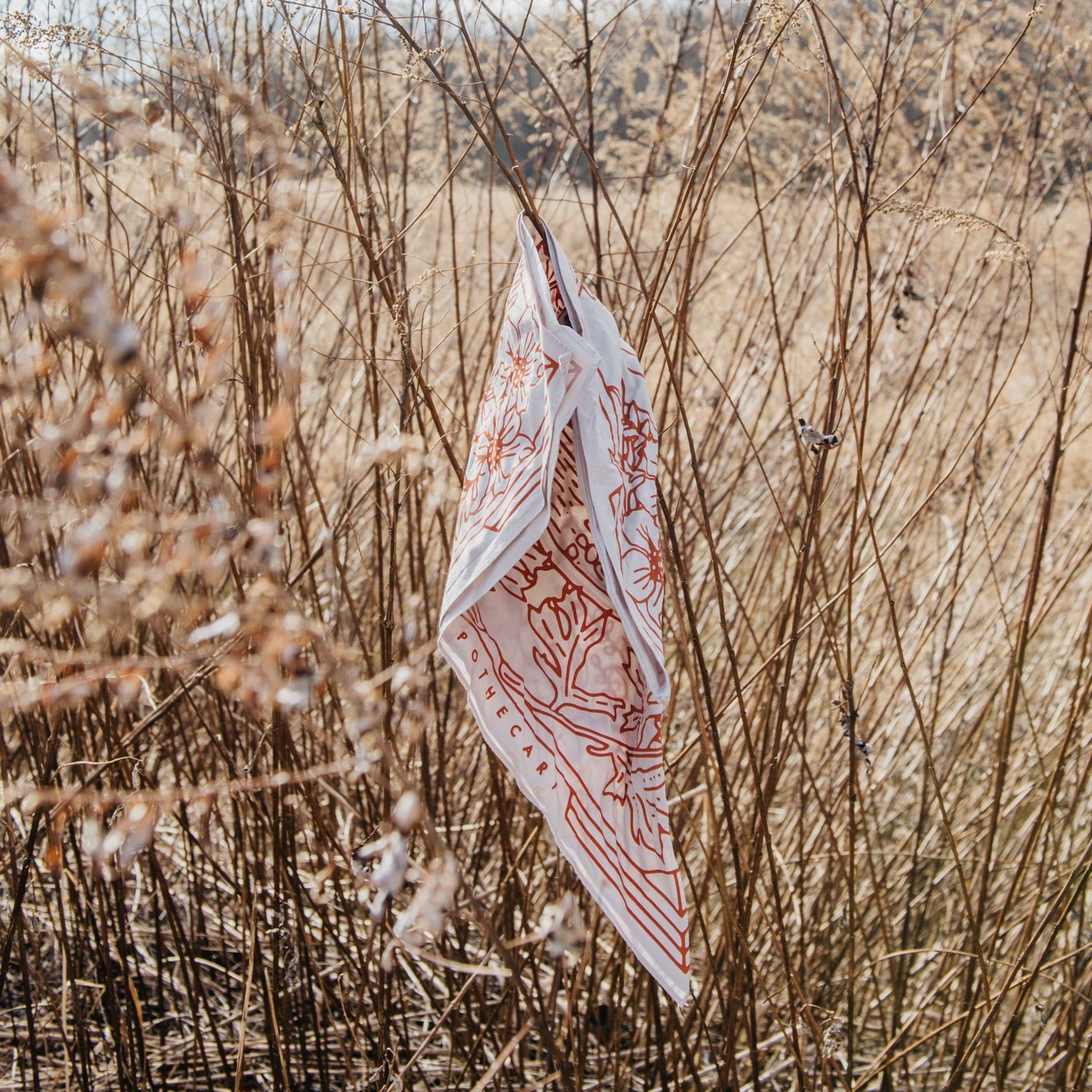 URB APOTHECARY bandana Yuba Bandana
