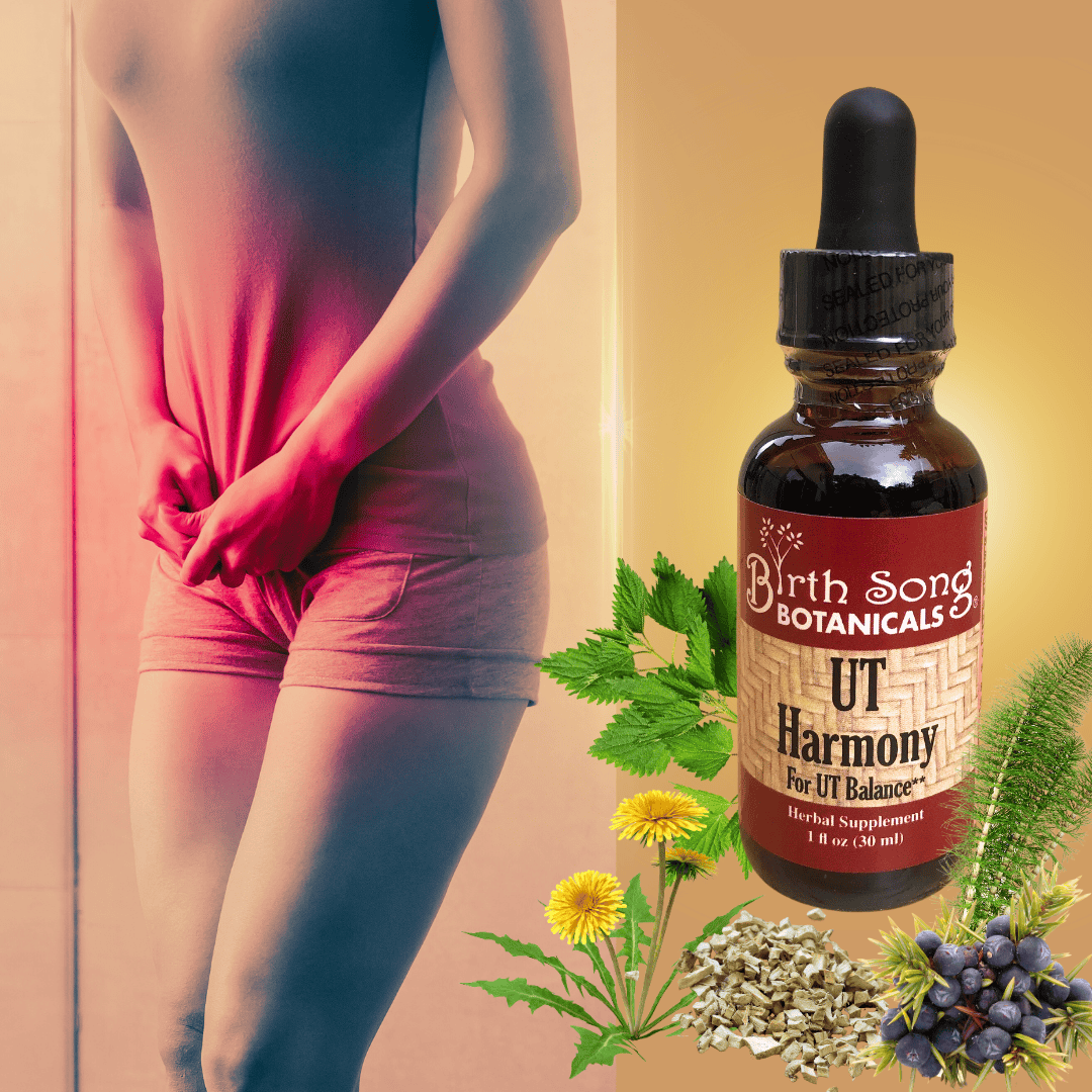 Birth Song Botanicals Co. Tinctures UT Harmony Herbal Tincture, Liquid Supplement for Women, Supports Urinary Tract and Bladder Health*, Supports healthy PH &amp; Urinary Strength* 1 oz.